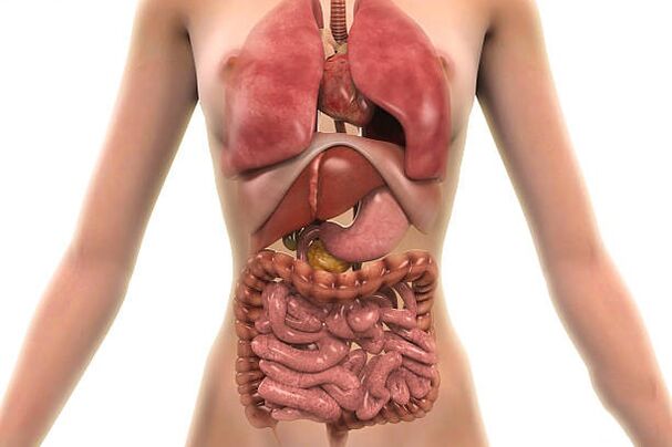 parasit di tubuh manusia