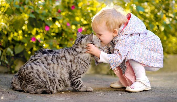 kanak-kanak mencium kucing dan dijangkiti cacing