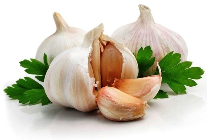 bawang putih terhadap parasit